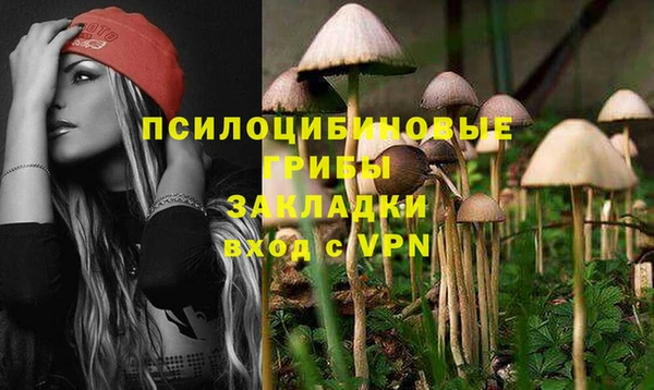 гидропоника Новозыбков